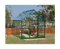 Serre de jardin HARMONY 6x8 vert - 4.6m²