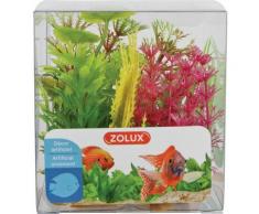 Zolux - Decor plant boit mix x6 mod4