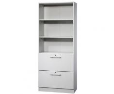Certeo - FINO Rayonnage mixte - 2 tablettes et 2 tiroirs pour dossiers suspendus - gris clair |