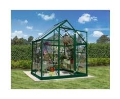 Serre de jardin HARMONY 6x4 vert - 2.3m²