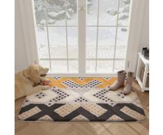 Tapis Entrée Intérieur, Tapis de Porte Lavable & Ultra Absorbant, Paillasson Antidérapant pour
