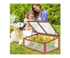 Serre de jardin en bois massif Plantation ch?ssis froid fruits plantes balcon jardinage