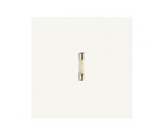 Neon 250v lampe silencieuse 0.5w couleur rouge 07052