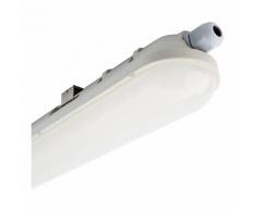 Réglette Étanche LED Intégré 1500mm 48W Blanc Froid 6000K-6500K