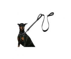 Grande laisse pour chien, laisse avec poignée rembourrée, fil hautement réfléchissant, laisse de 6