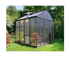 Serre de Jardin GLORY 8x8 gris anthracite - 5.6m²