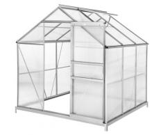 Serre de Jardin Polycarbonate 3,7 m² + 1 Embase en Acier