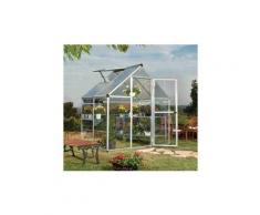 Serre de jardin en polycarbonate Hybrid 2,33 m², Couleur Argent, Ancrage au sol Oui - longueur :