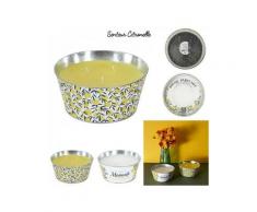 bougie parfumee citronnelle pot metal d20.5cm, 2-f