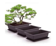 3 Pièces Pot de Plantes Rectangle, Pots d'Entraînement Bonsaï en Plastique, Pots de Fleurs