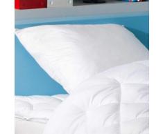 Oreiller Enfant - 40/60 Blanc - Dodo