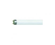 Philips - Lampe tube neon t8 18w 60 cm cold light 1886ng