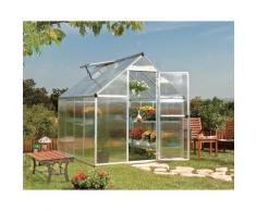 Serre de jardin MYTHOS 6x8 argent - 4.6m²
