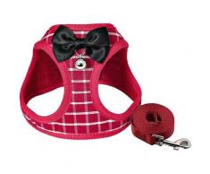 Ensemble Harnais et Laisse pour Chat et Petit Chien - Anti-évasion avec Clochette et nœud Papillon