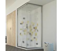 Cabine Douche 80x100 H198 Opaque mod. Evolution