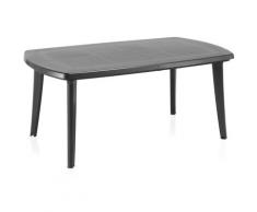 Table de Jardin extensible 6/10 places coloris anthracite - Longueur 170-225 x Profondeur 100 x