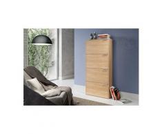 Armoire range-chaussures 4 compartiments enjoy