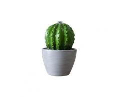 Fontaine d'intérieur éclairage led cactus