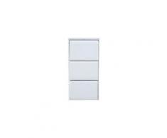 Icaverne meuble a chaussures shoebox meuble a chaussures - métal blanc - 3 portes - l 51 cm