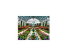 Puzzle 1500 pièces : jardin en serre