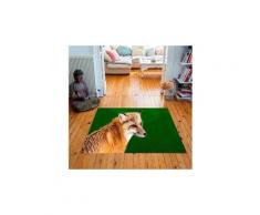 Tapis carré velours antidérapant imprimé animaux foxy - 135 x 135 cm