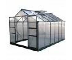 Green Protect Serre de jardin 9,13m² verte en polycarbonate 4mm + embase Green Protect