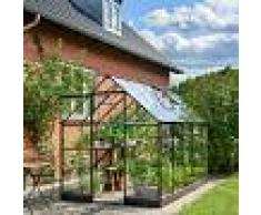 Halls Serre de jardin 6,4m² noire en verre trempé Qube - Halls