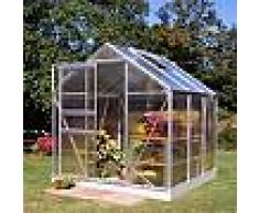 halls Serre de jardin 3,8m² en polycarbonate 4mm Popular - Halls