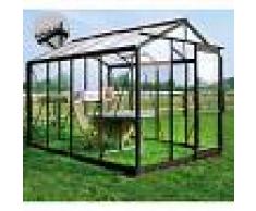 ACD Serre de jardin 6,97m² en verre trempé 4mm Victorian Plus + embase - ROYAL