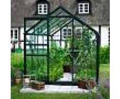 Halls Serre de jardin 6,2m² verte et verre horticole Popular - Halls