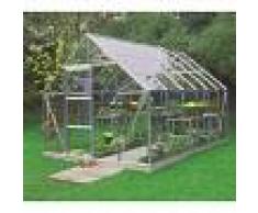Halls Serre de jardin 9,9m² en verre horticole Universal - Halls
