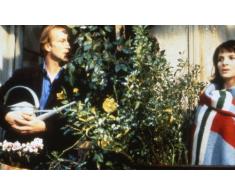 Eine Couch in New York (Mediabook)