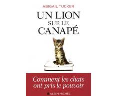 Un lion sur le canapé: Comment les chats ont pris le pouvoir