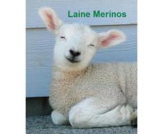 King of Dreams Super 160x200 Matelas Mousse Poli Lattex Indéformable - Face Laine Merinos 100% -Tissu à l'Aloé Vera - Hauteur 23 cm - Soutien Très Ferme - Orthopédique (160_x_200_cm)