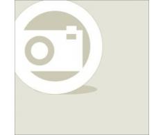 Techly Professional Armoire à mur pour Nootebook Lim icrlim01