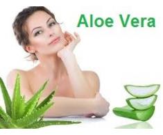 King of Dreams Super 80x200 Matelas Mousse Poli Lattex Indéformable - Face Laine Merinos 100% -Tissu à lAloé Vera - Hauteur 23 cm - Soutien Très Ferme - Orthopédique (80_x_200_cm)