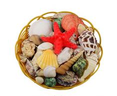 GK 1 kg de coquillages Grande décoration de table mariage pour aquarium coquillages Poids Craft Tropical