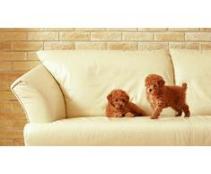 non branded Peinture par Numero Thème Bricolage Peinture À lhuile Numérique pour Enfants Adultes Canapé en Cuir Beige Chien Kill Time Home Decor Cadeau Unique 40x50cm sans Cadre