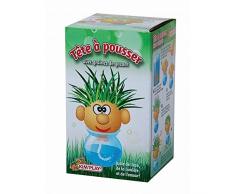 TETE A POUSSER AVEC GRAINE DE GAZON 8 X 8 CM JOUET