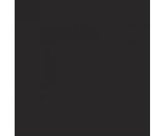 Wall Designer Château de Disney, Autocollant dart Mural de Filles - Tinkerbell, Fées et étoiles - [Noir]