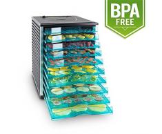 Klarstein Fruit Jerky 10 - Déshydrateur, 800W de puissance, 10 larges étages, Surface de séchage de presque 1 m², Conservant les minéraux et vitamines, Noir