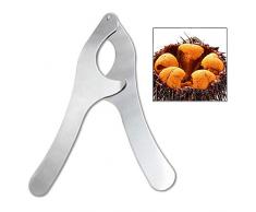 iwobi Coupe-Oursin De Cuisine Outil De Coupe De Fruits De Mer En Acier Inoxydable