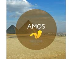 Chapitre 8 : Quatrième vision d'Amos : le panier de fruits