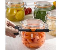 lacantinière Lastucieux ouvre Bocal