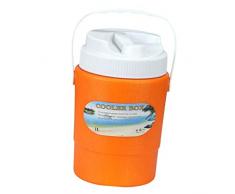 Perfeclan Seau à Glace Isotherme pour Le Stockage des Boissons - Orange 1L, comme décrit