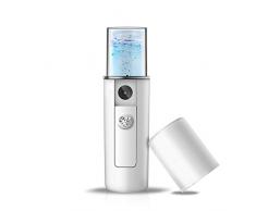 zreal Mini Nano USB Sprayer Vaporisateur de visage rechargeable sauna Sauna ultrasonique humidificateur soins de la peau
