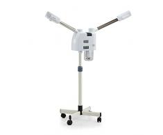 800W 2 en 1 Chaud & Cool Sauna Facial Vapeur Visage Humidificateur Machine avec Fer Supporter Base Ajustable Hauteur Professionnel Beauté Salon Spa Visage