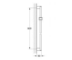 GROHE Barre de Douche 90 cm Euphoria Cube 27841000 (Import Allemagne)
