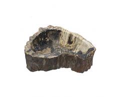 Vasque bois fossilisé à poser salle de bain 40-50cm - vasque en bois pétrifié. CHOIX SUR PHOTOS