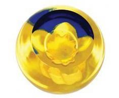 Caithness Glass Presse-papier en cristal avec jonquille Bleu/jaune